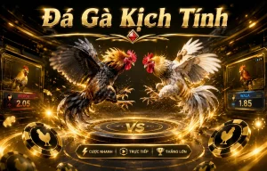 Giao diện sảnh Đá Gà southvalleyco